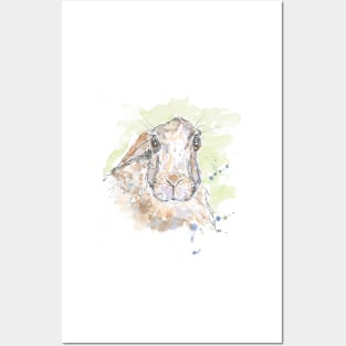 Hare portrait. Posters and Art